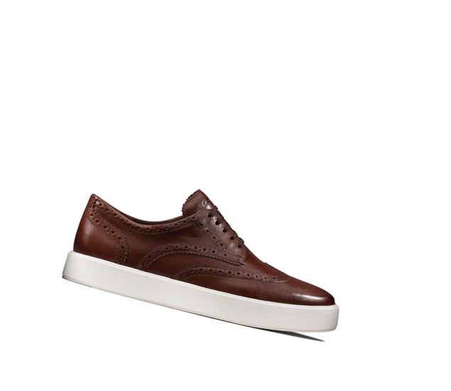 Baskets Clarks Hero Limit Cuir Homme Marron | BXQD19283