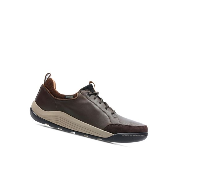 Baskets Décontractées Clarks Ashcombe Bay Gore-tex Cuir Homme Marron Foncé | KCSA28415