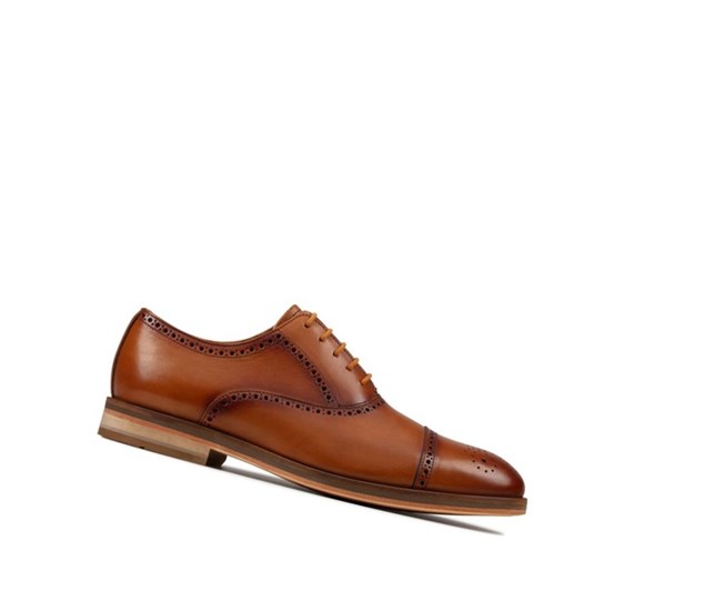 Chaussures Brogue Clarks Oliver Limit Cuir Homme Marron | OYPV18956