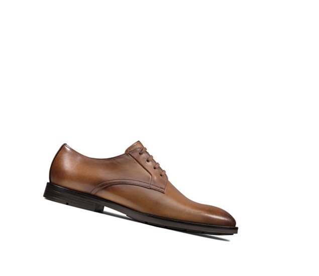 Chaussures de Marche Clarks Ronnie Walk Cuir Homme Marron | CZOV51742