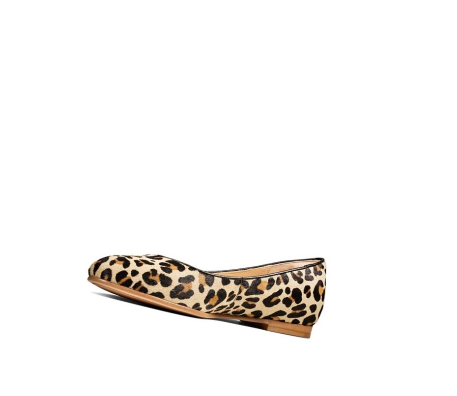 Ballerine Clarks Grace Piper Print Cuir Femme Leopard | HBLY41023