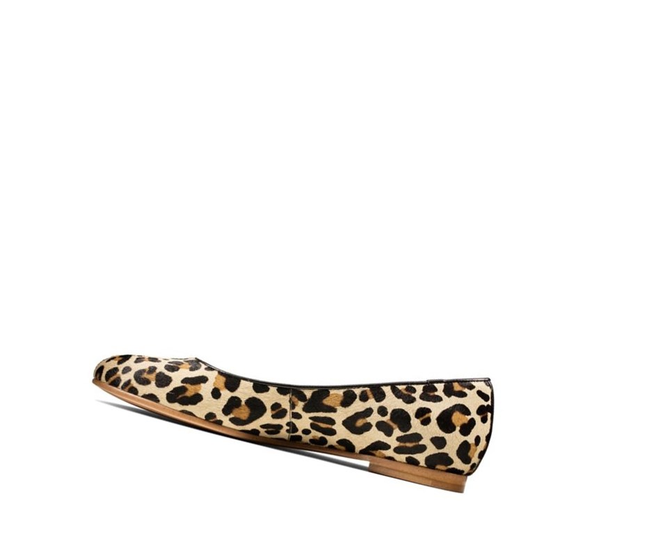 Ballerine Clarks Grace Piper Print Cuir Femme Leopard | HBLY41023