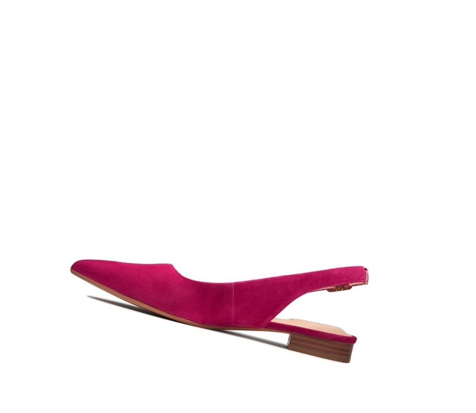 Ballerine Clarks Laina15 Brides Daim Femme Fushia | MJYA48237