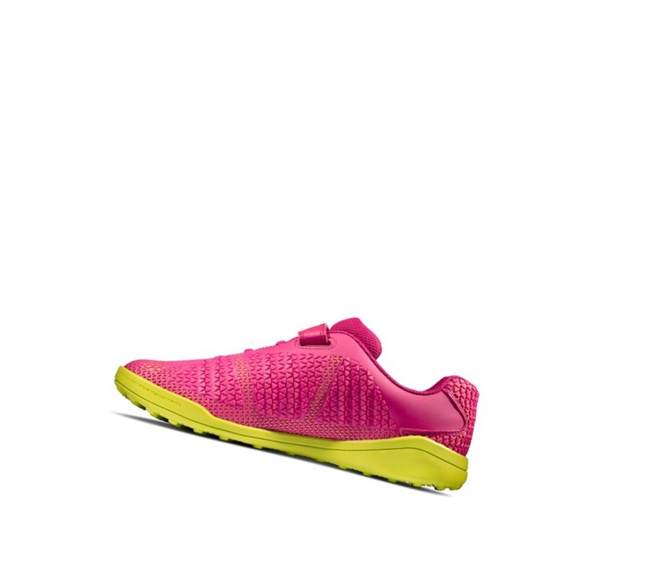 Baskets Clarks Award Swift Garcon Rose Citron | IJWX59432