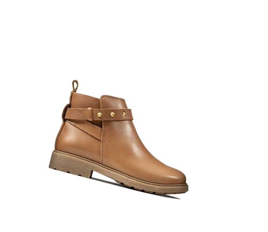 Bottines Clarks Astrol Soar Cuir Fille Marron | XOKA47810