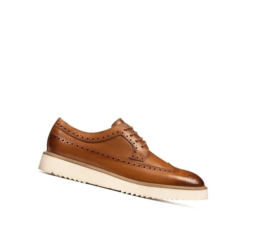 Chaussures Brogue Clarks Ernest Limit Cuir Homme Marron | LWYU73856