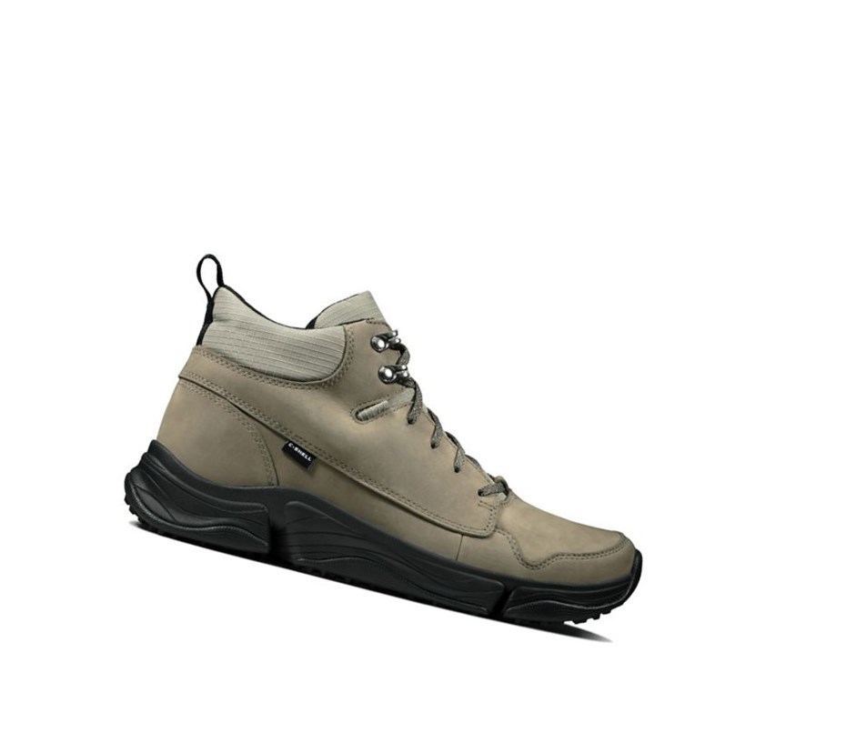 Chaussures de Marche Clarks Tri Path Hike Textile Homme Vert Olive | CDZA32076