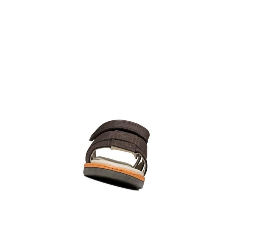 Sandales Casual Clarks Frances Tor Cuir Garcon Marron | VKBG37694