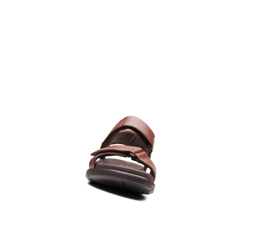 Sandales Casual Clarks Un Wilmore Band Cuir Homme Marron Foncé | UQBN83140