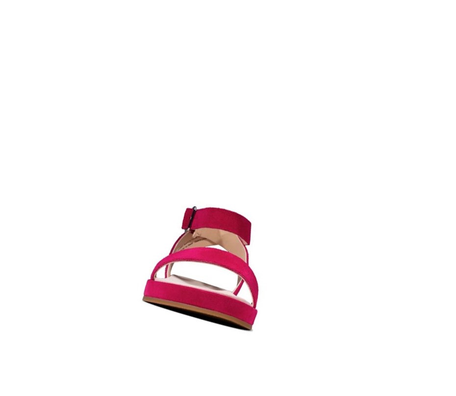 Sandales Plates Clarks Botanic Ivy Daim Femme Fushia | MLZK42195