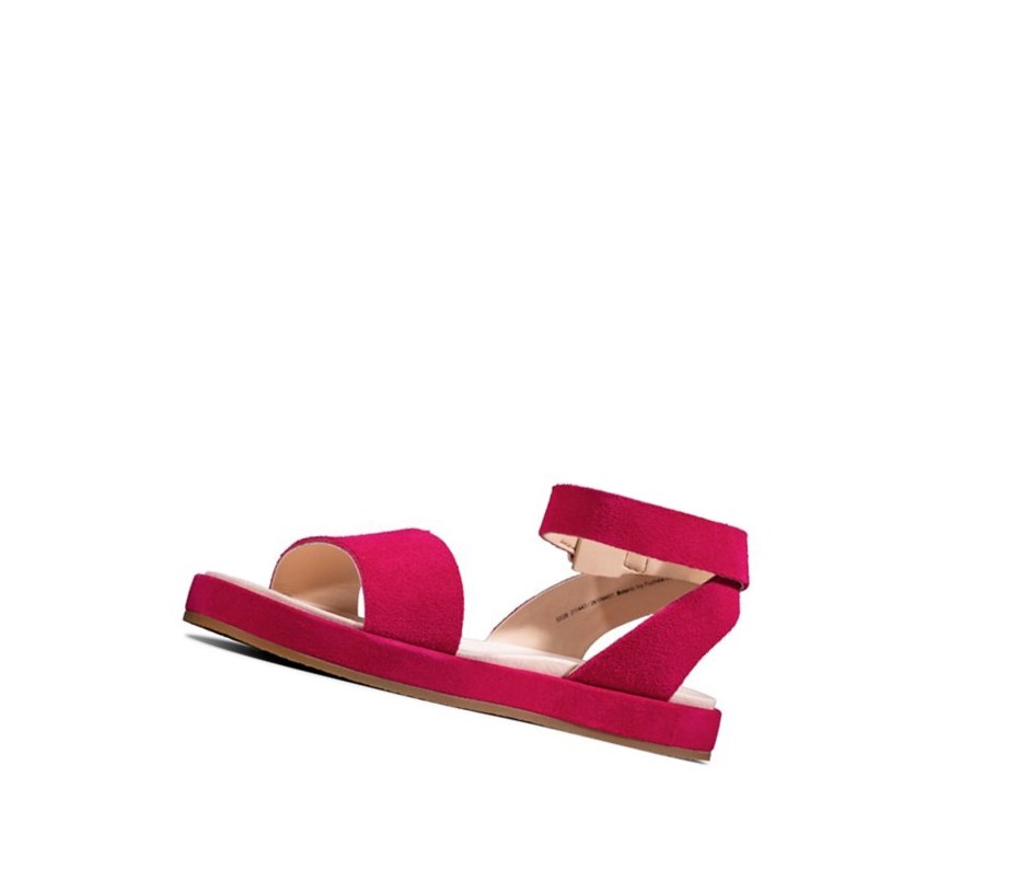 Sandales Plates Clarks Botanic Ivy Daim Femme Fushia | MLZK42195