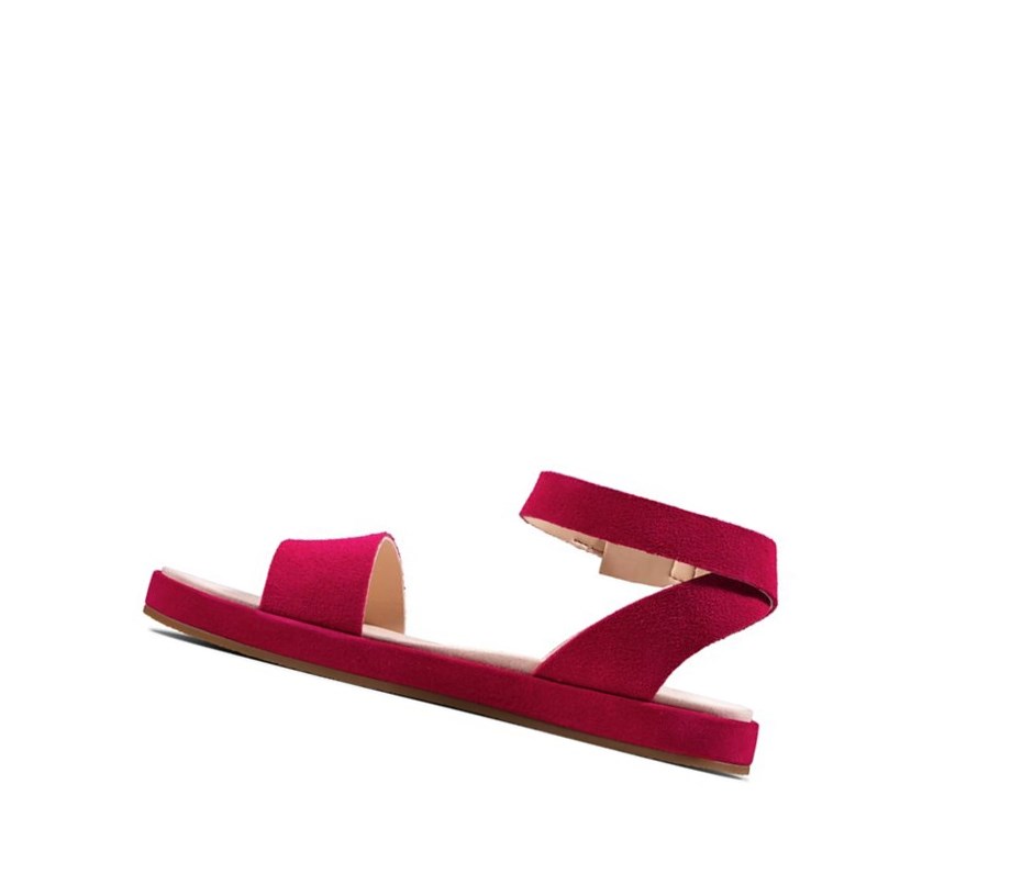 Sandales Plates Clarks Botanic Ivy Daim Femme Fushia | MLZK42195