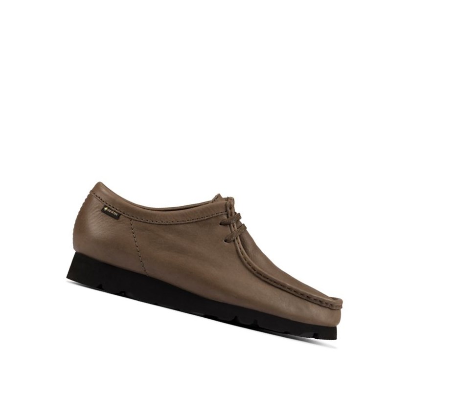 Wallabee Clarks Gore-tex Cuir Homme Vert Olive | HUFC86109